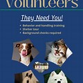 Volunteer Flyer