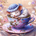 Asleep Mouse in a Teacup