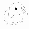 Baby Mini Lop Coloring Pages