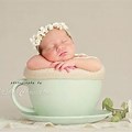 Baby Teacup Photography Background