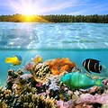 Beautiful Ocean Pictures