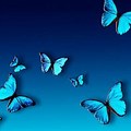 Blue Butterfly Desktop