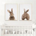 Bunny Rabbit Tail Canvas Painting Wall Art
