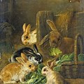 Colorful Bunny Paintings From Before 1800