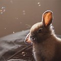 Cute Bunny Wallpaper for Laptop 4K