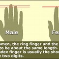 Male Female Hands
