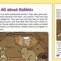 Farm Life Rabbit Facts
