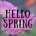 Spring Images