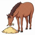 Horse Eating Hay Vector Art