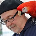 Parrot and Bird Sitting On Shoulder