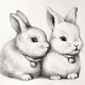 Pencil Drawings of Baby Bunnies
