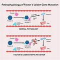 Gene Mutation Mechanism