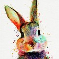 Rabbit Art Prints