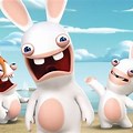 Rabbit Cartoon Funny Show