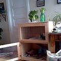 Rabbit Hutch Plans Indoor