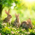 Spring Picture with Bunnies 12X30