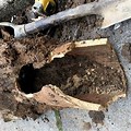 Clay Sewer Pipe