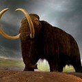Mammoth Animal