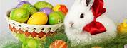 Cute Easter Bunny Desktop Wallpaper