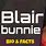 Blair Bunnie