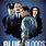 Blue Bloods Season 1