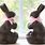 Bunny Chocolate Molds