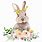 Bunny with Flowers Clip Art