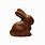 Chocolate Bunny Pictures