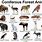 Coniferous Forest Animals List