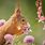 Cute Animals with Spring Flowers