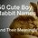 Cute Boy Bunny Names