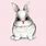 Cute Bunny Phone Wallpaper