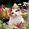 Cute Cat Flowers