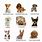 Cute Small Dog Breeds Names