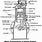 Diesel Engine Diagram