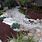 Dry Rock Bed Landscaping