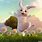 Easter Bunny Animated Wallpaper