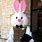 Easter Bunny Custom