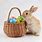 Easter Bunny with a Basket