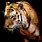 Fractal Art Tiger