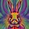 Psychedelic Bunny