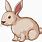 Rabbit Cartoon Art
