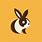 Rabbit Logo Design