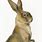 Vintage Rabbit Clip Art