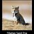 Sand Fox Meme