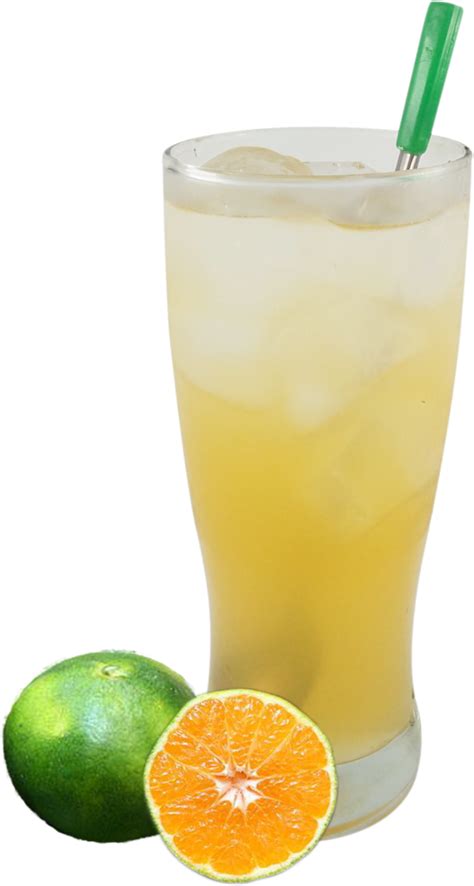 Aneka Minuman Jeruk Lemon
