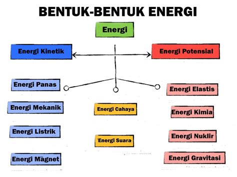 Bentuk-Bentuk Kehidupan