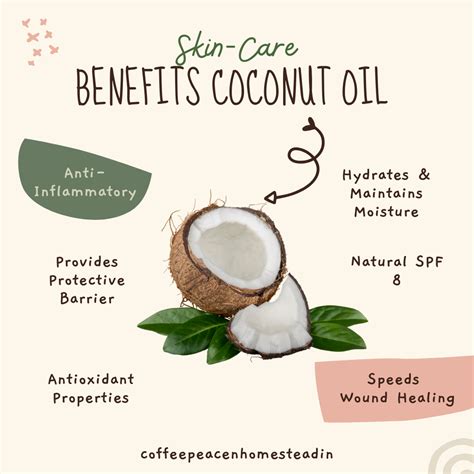Coconut Oil Provides Antioxidants