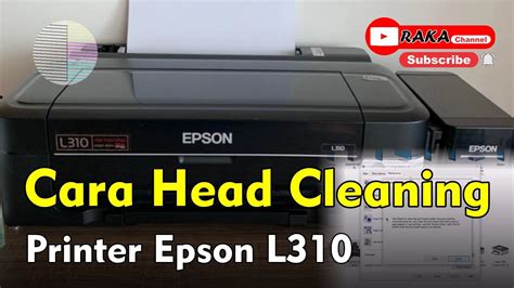 Epson L310 Cleaning
