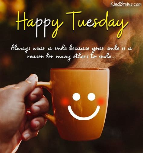 Happy Tuesday Indonesia